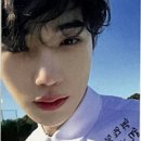 더뉴(the New) 이미지