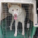 전안초등학교 이미지