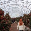 사려니하우스 이미지