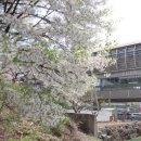 번암공원 이미지