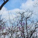 국사봉 누리길 이미지