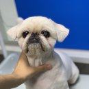 포일동물병원 이미지