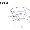 포인터스 이미지