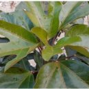 한재골 장어 이미지