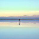 내인생의 그림기록 이미지