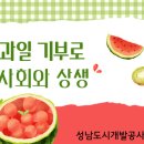 과일도시 이미지