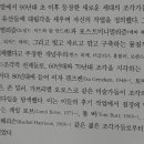 21세기 기념비적 전시 이미지