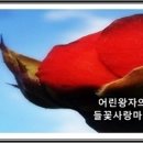 건강상식-숨어있는 뇌경색 찾아내는 방법//사진-꾸지뽕나무 열매 이미지