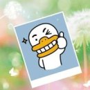 똑똑한세상
