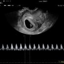 루카산부인과의원 이미지