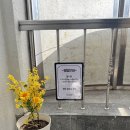 소문난이웃집떡볶이