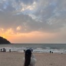 자니노니 | 🌊 인천 을왕리 감성 가족여행 자니노니 카라반 후기까지