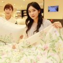 레노마홈부산
