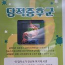 [마디튼튼 담적한의원] 광주남구한의원 디스크 자세교정 거북목 어깨결림 한의원