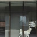 빌라누트 이미지