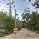 모던카 | 베트남 푸꾸옥 중부 카미아리조트 프리미엄디럭스오션뷰 1박 후기 (헬스장, 수영장)