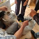 축산가축인공수정소 이미지