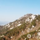 학림사