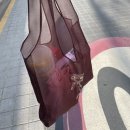 [수영일기] 오정레포츠센터에 수모 못쓰는 중고신입 등장