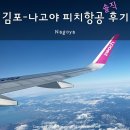 피치짐 | 김포 나고야 피치항공 후기, 항공권 수하물 규정 모바일 체크인 등 꿀팁 총정리