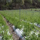 주주리농장 이미지