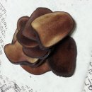 경희신안한의원 이미지