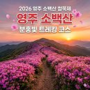 학사청년와이스트리트협동조합 | 영주 소백산 철쭉제 경북 가볼만한곳 영주 여행 트레킹 코스 주차 셔틀버스