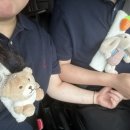 또바기 빵 | 또바기씨 생일기념2, 태안여행