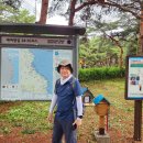 해파랑길 35-39구간 허난설헌생가 전까지 후기 이미지