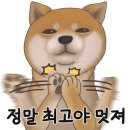펫바스로 동탄 이미지