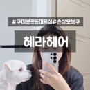 N헤어 | 구미봉곡동미용실 혜라헤어 N회차 단골 두피 스칼프 내돈내산 후기