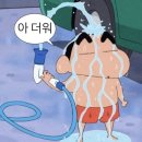 내가본스튜디오 | W2 | 웨딩촬영, 내가 원하는 컨셉을 찾아서~ | 스튜디오 부겐빌리아 계약후기💛