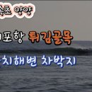 속초 대포항 튀김골목/양양 물치해변 차박 이미지