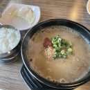 제주도 여행 Day3: 김재훈 고사리 육계장, 화북포구 해안도로, 파리바게트 마음샌드 후기!