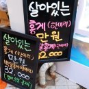 붉은태양맛집 이미지