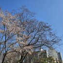 메트로파크부동산중개 이미지