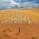 호치민 여행 3일차 | 호치민 무이네 사막투어(ATV) 후기
