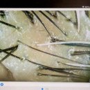다희 | 무이 대치본점 다희부원장 두피클리닉 솔직후기: 프라이빗 1인 안마의자 룸에서 즐기는 힐링 헤드스파
