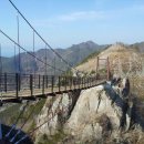 출렁다리 이미지