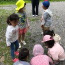 본아미강남어린이집 이미지