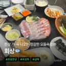 깔쌈한김밥 | 김해·장유·율하 | 식사부터 술상까지 완벽한 숙성회 맛집, 회상 율하본점 내돈내산