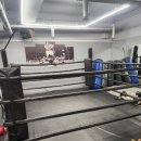 마블 복싱 스퀘어 이미지