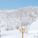 청송얼음골힐링민박 이미지