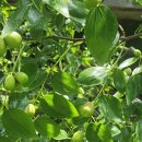 백천농장 이미지