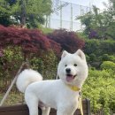 땡스마미 이미지