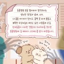 우신동물병원 이미지