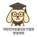 맛있개도 냥냥’ 반려동물 수제간식 만들기 | 🐶💖 2025년 댕댕대학 간식학과, 눈부신 성장 스토리! ✨ TOP 10 뉴스 전격 공개!