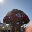 남궁농원 | [에버랜드 할로윈] 좀비축제 갈수록 고퀄리티 ! 늦은 할로윈 후기