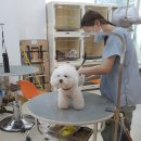 트리밍807 이미지