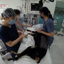 지성동물병원 이미지